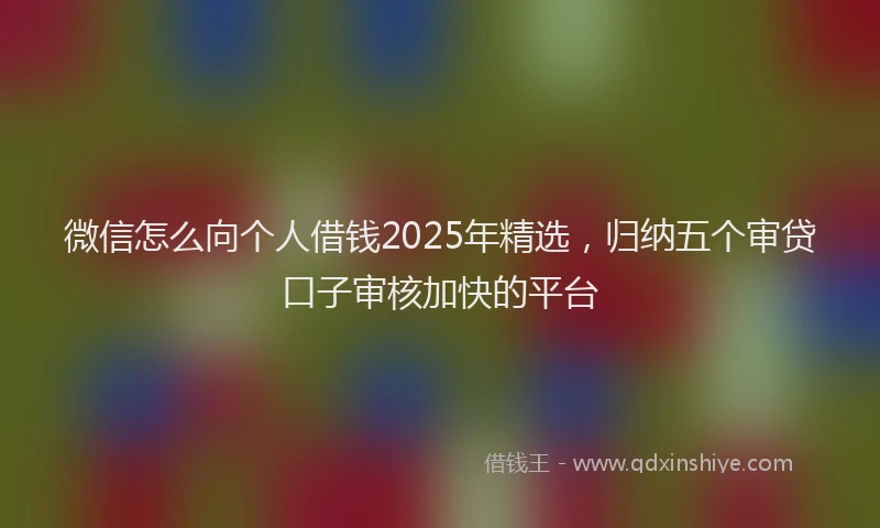 微信怎么向个人借钱2025年精选，归纳五个审贷口子审核加快的平台