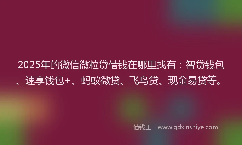 2025年的微信微粒贷借钱在哪里找有：智贷钱包、速享钱包+、蚂蚁微贷、飞鸟贷、现金易贷等。
