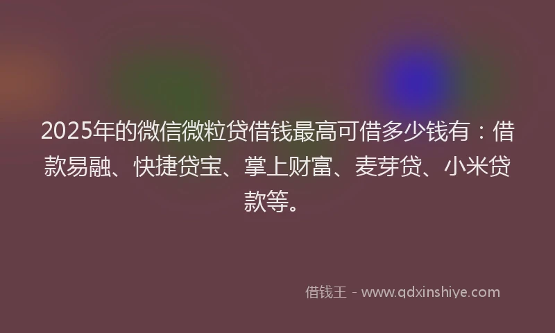 2025年的微信微粒贷借钱最高可借多少钱有：借款易融、快捷贷宝、掌上财富、麦芽贷、小米贷款等。
