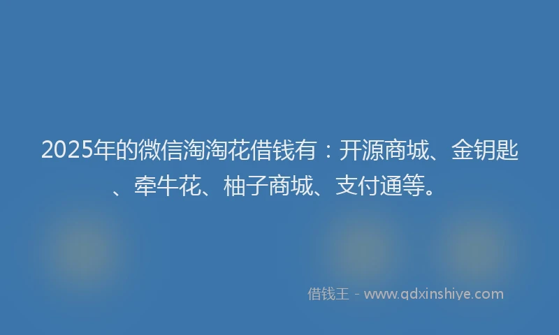 2025年的微信淘淘花借钱有：开源商城、金钥匙、牵牛花、柚子商城、支付通等。