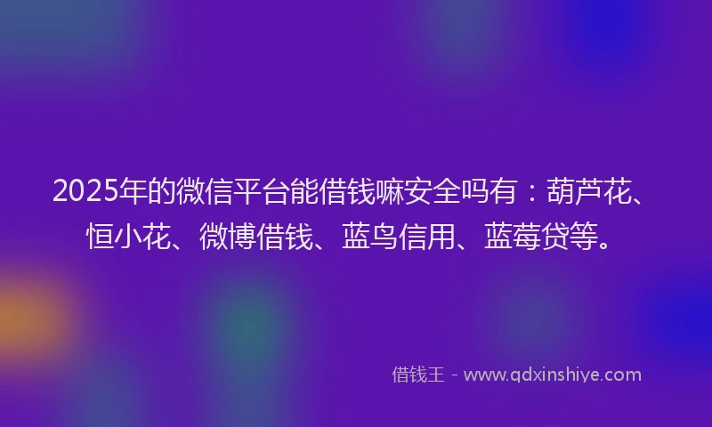 2025年的微信平台能借钱嘛安全吗有：葫芦花、恒小花、微博借钱、蓝鸟信用、蓝莓贷等。