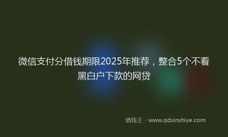 微信支付分借钱期限2025年推荐，整合5个不看黑白户下款的网贷