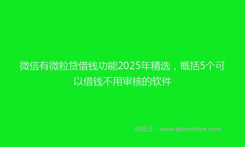 微信有微粒贷借钱功能2025年精选，概括5个可以借钱不用审核的软件