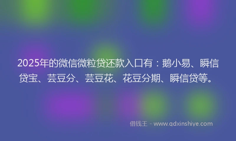2025年的微信微粒贷还款入口有：鹅小易、瞬信贷宝、芸豆分、芸豆花、花豆分期、瞬信贷等。