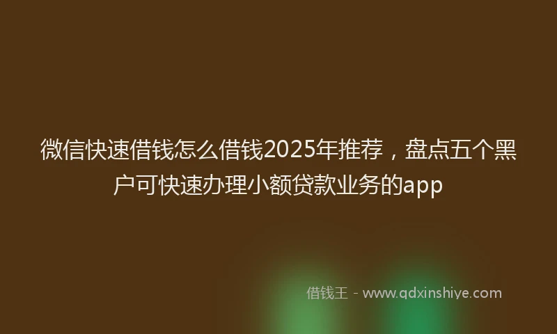 微信快速借钱怎么借钱2025年推荐，盘点五个黑户可快速办理小额贷款业务的app