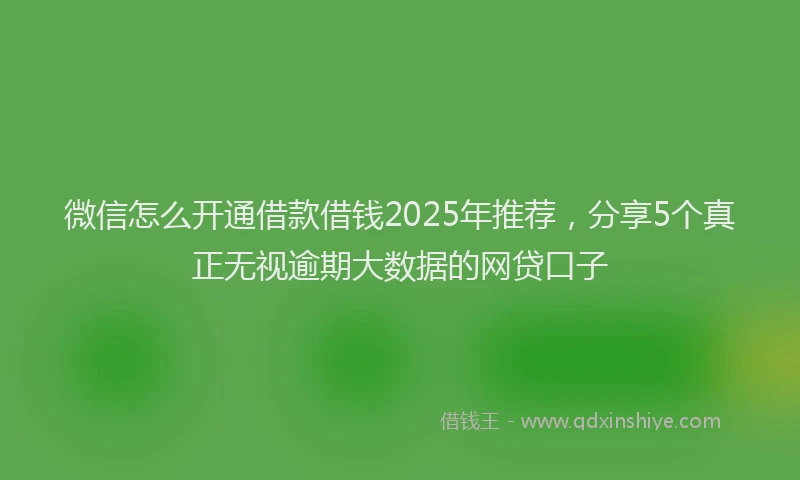 微信怎么开通借款借钱2025年推荐，分享5个真正无视逾期大数据的网贷口子