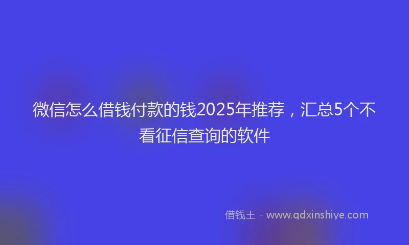 微信怎么借钱付款的钱2025年推荐，汇总5个不看征信查询的软件