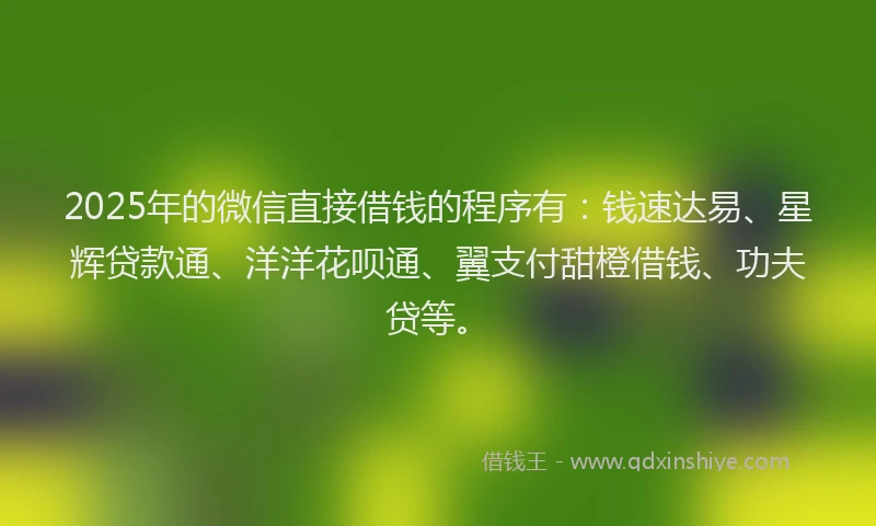 2025年的微信直接借钱的程序有：钱速达易、星辉贷款通、洋洋花呗通、翼支付甜橙借钱、功夫贷等。