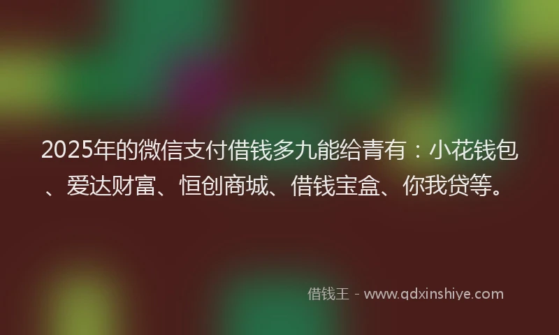 2025年的微信支付借钱多九能给青有：小花钱包、爱达财富、恒创商城、借钱宝盒、你我贷等。