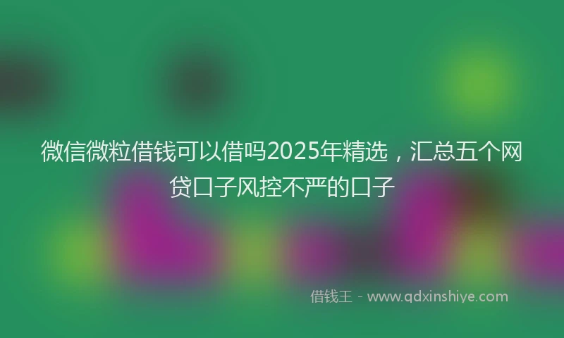 微信微粒借钱可以借吗2025年精选，汇总五个网贷口子风控不严的口子