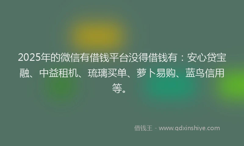 2025年的微信有借钱平台没得借钱有：安心贷宝融、中益租机、琉璃买单、萝卜易购、蓝鸟信用等。