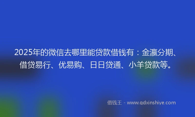 2025年的微信去哪里能贷款借钱有：金瀛分期、借贷易行、优易购、日日贷通、小羊贷款等。