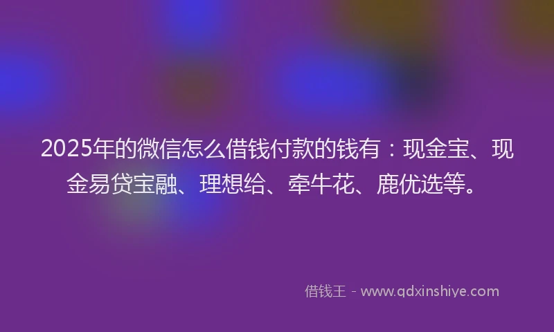 2025年的微信怎么借钱付款的钱有：现金宝、现金易贷宝融、理想给、牵牛花、鹿优选等。