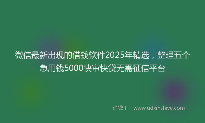 微信最新出现的借钱软件2025年精选，整理五个急用钱5000快审快贷无需征信平台