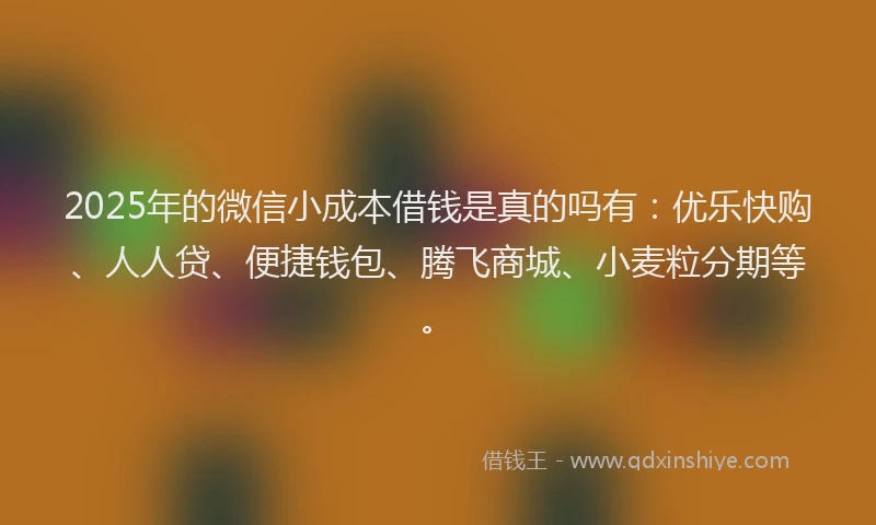 2025年的微信小成本借钱是真的吗有：优乐快购、人人贷、便捷钱包、腾飞商城、小麦粒分期等。
