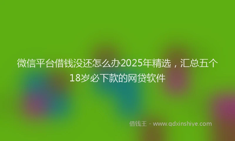 微信平台借钱没还怎么办2025年精选，汇总五个18岁必下款的网贷软件
