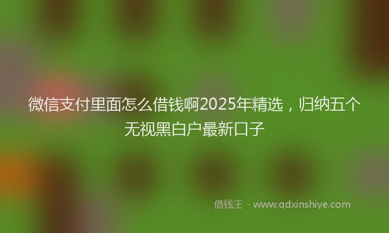 微信支付里面怎么借钱啊2025年精选，归纳五个无视黑白户最新口子