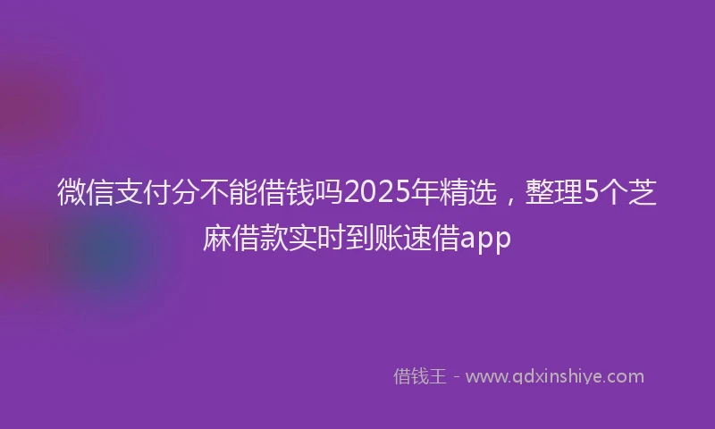 微信支付分不能借钱吗2025年精选，整理5个芝麻借款实时到账速借app
