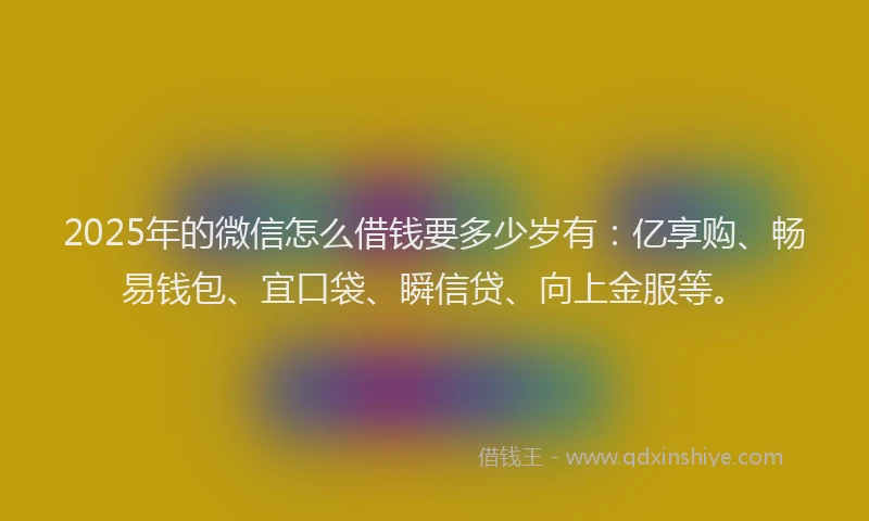 2025年的微信怎么借钱要多少岁有：亿享购、畅易钱包、宜口袋、瞬信贷、向上金服等。