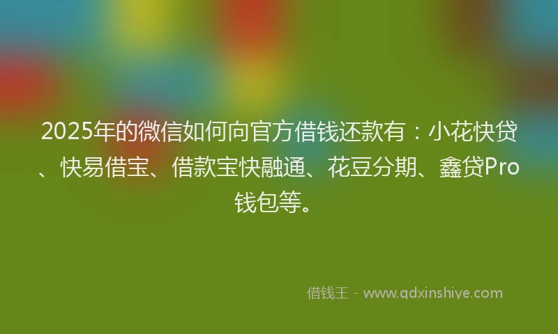 2025年的微信如何向官方借钱还款有：小花快贷、快易借宝、借款宝快融通、花豆分期、鑫贷Pro钱包等。