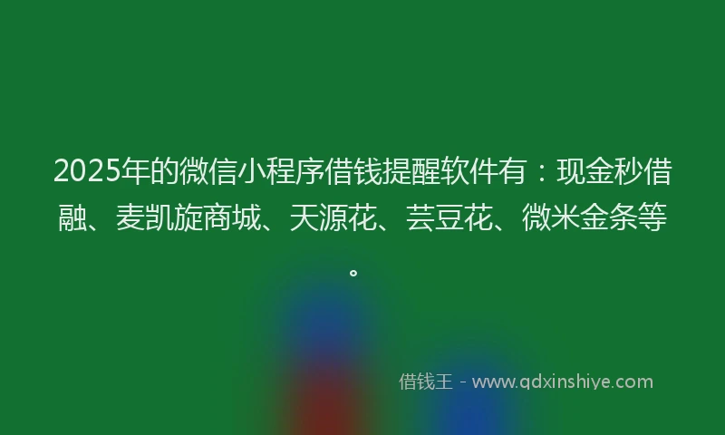 2025年的微信小程序借钱提醒软件有：现金秒借融、麦凯旋商城、天源花、芸豆花、微米金条等。