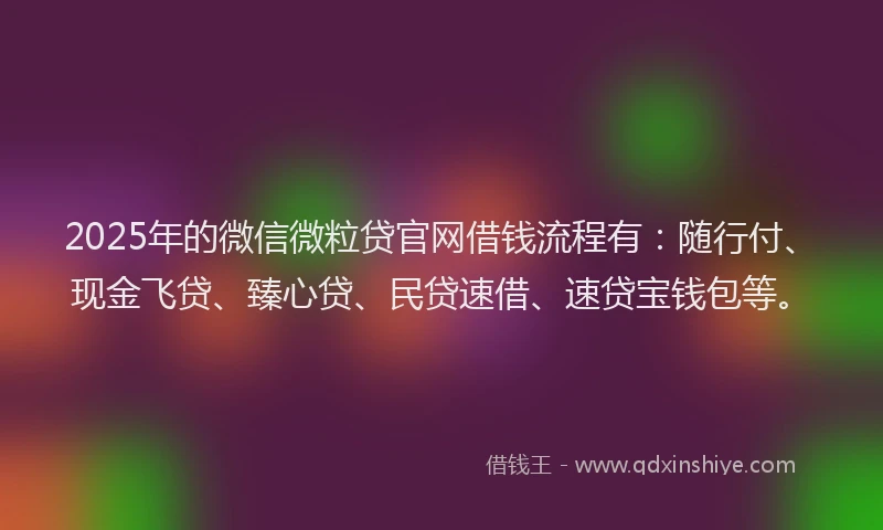 2025年的微信微粒贷官网借钱流程有：随行付、现金飞贷、臻心贷、民贷速借、速贷宝钱包等。
