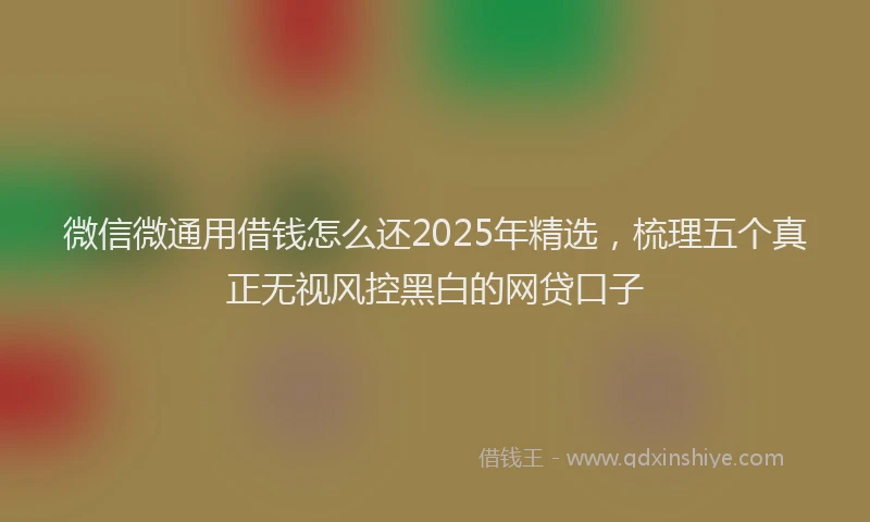 微信微通用借钱怎么还2025年精选，梳理五个真正无视风控黑白的网贷口子
