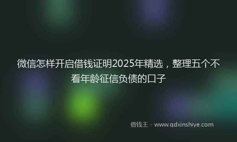 微信怎样开启借钱证明2025年精选，整理五个不看年龄征信负债的口子
