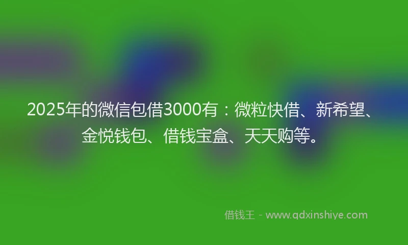 2025年的微信包借3000有：微粒快借、新希望、金悦钱包、借钱宝盒、天天购等。