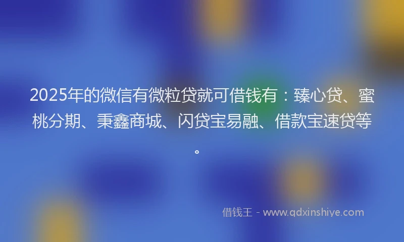 2025年的微信有微粒贷就可借钱有：臻心贷、蜜桃分期、秉鑫商城、闪贷宝易融、借款宝速贷等。