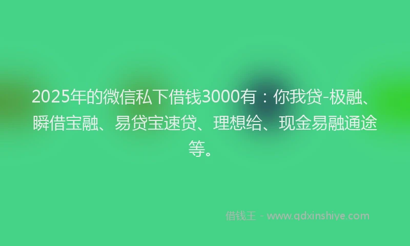 2025年的微信私下借钱3000有：你我贷-极融、瞬借宝融、易贷宝速贷、理想给、现金易融通途等。