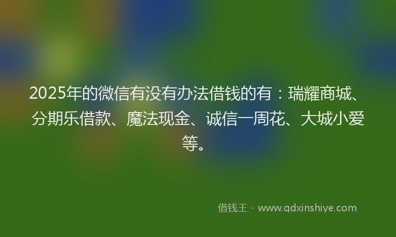2025年的微信有没有办法借钱的有：瑞耀商城、分期乐借款、魔法现金、诚信一周花、大城小爱等。