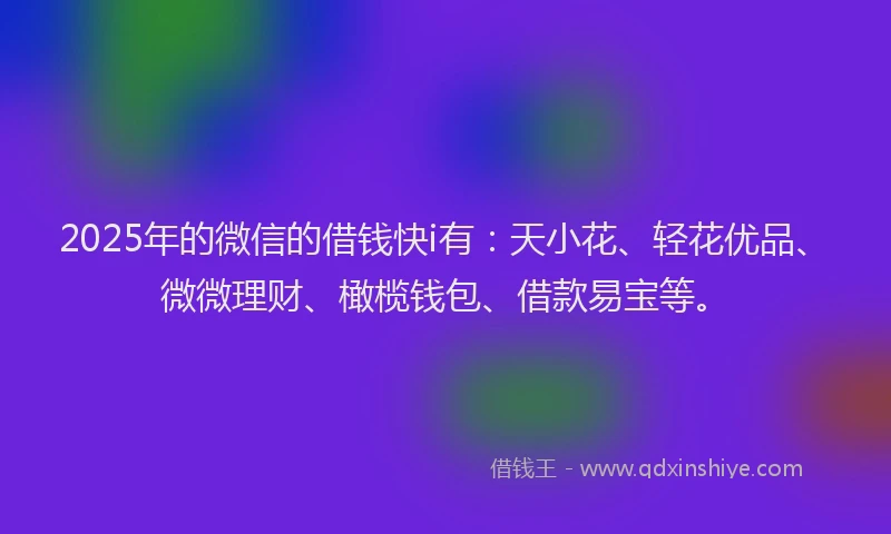 2025年的微信的借钱快i有：天小花、轻花优品、微微理财、橄榄钱包、借款易宝等。