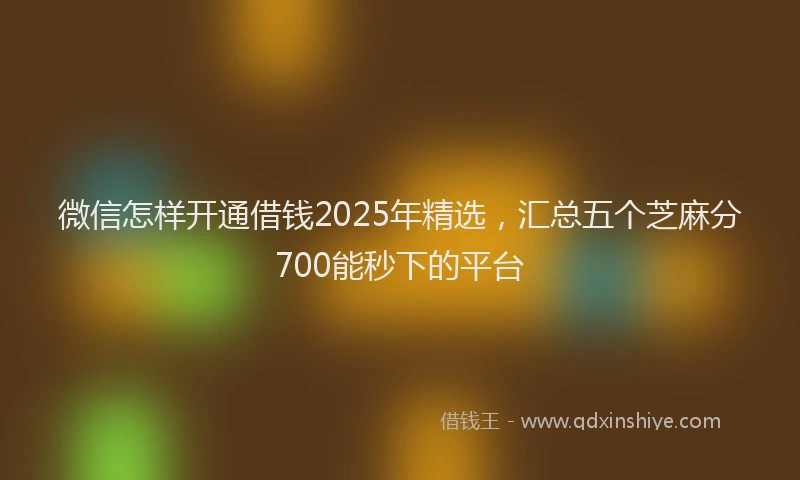 微信怎样开通借钱2025年精选，汇总五个芝麻分700能秒下的平台