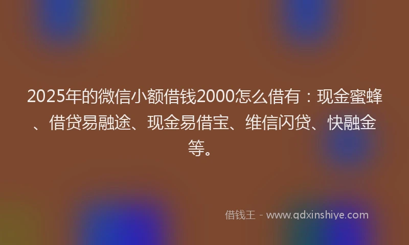2025年的微信小额借钱2000怎么借有：现金蜜蜂、借贷易融途、现金易借宝、维信闪贷、快融金等。