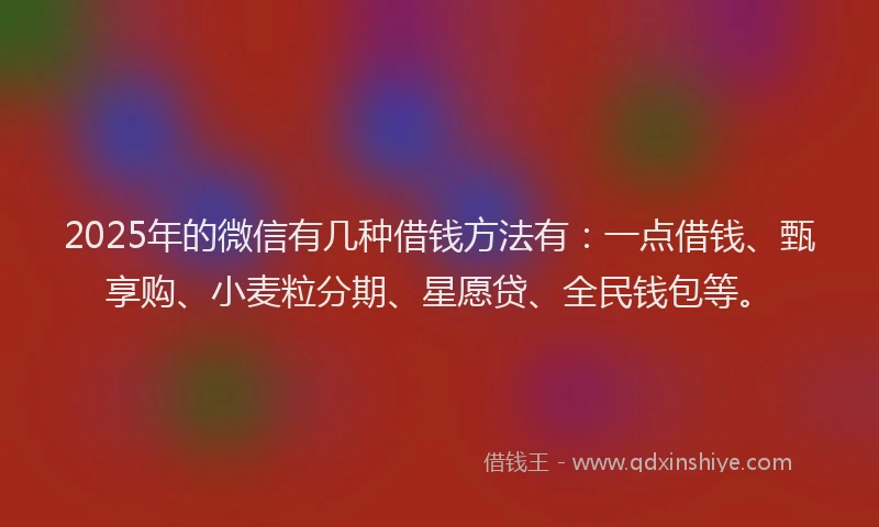 2025年的微信有几种借钱方法有：一点借钱、甄享购、小麦粒分期、星愿贷、全民钱包等。