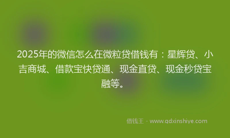 2025年的微信怎么在微粒贷借钱有：星辉贷、小吉商城、借款宝快贷通、现金直贷、现金秒贷宝融等。