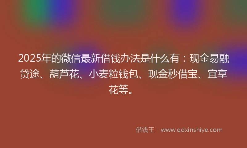 2025年的微信最新借钱办法是什么有：现金易融贷途、葫芦花、小麦粒钱包、现金秒借宝、宜享花等。