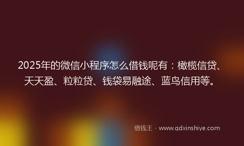 2025年的微信小程序怎么借钱呢有：橄榄信贷、天天盈、粒粒贷、钱袋易融途、蓝鸟信用等。