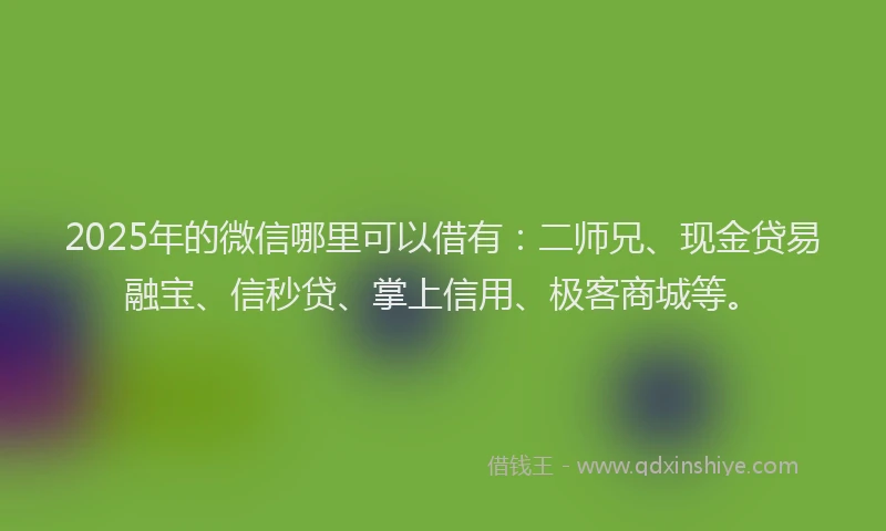 2025年的微信哪里可以借有：二师兄、现金贷易融宝、信秒贷、掌上信用、极客商城等。