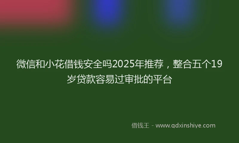 微信和小花借钱安全吗2025年推荐，整合五个19岁贷款容易过审批的平台