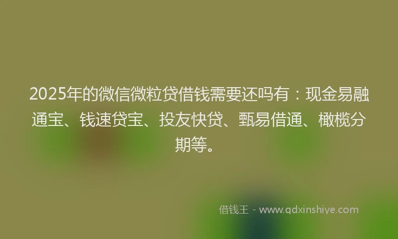 2025年的微信微粒贷借钱需要还吗有：现金易融通宝、钱速贷宝、投友快贷、甄易借通、橄榄分期等。