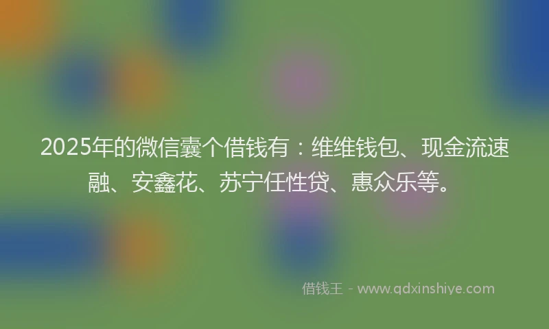 2025年的微信囊个借钱有：维维钱包、现金流速融、安鑫花、苏宁任性贷、惠众乐等。