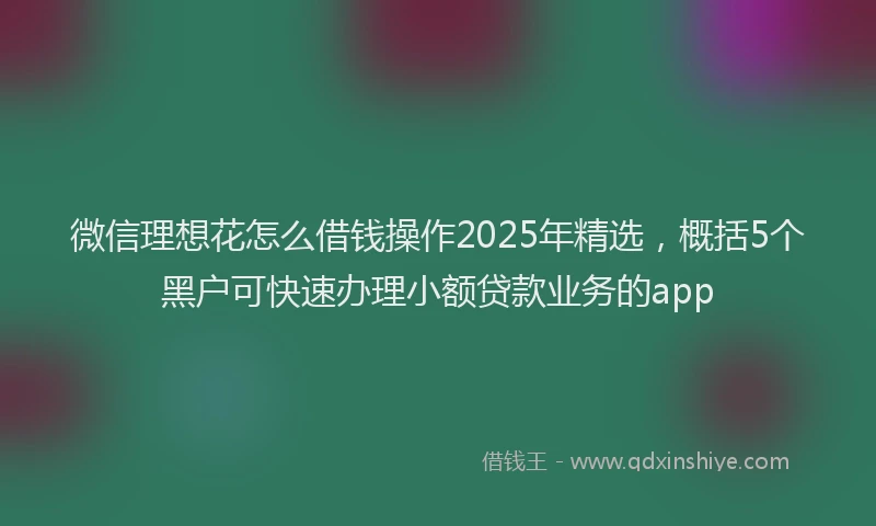 微信理想花怎么借钱操作2025年精选，概括5个黑户可快速办理小额贷款业务的app
