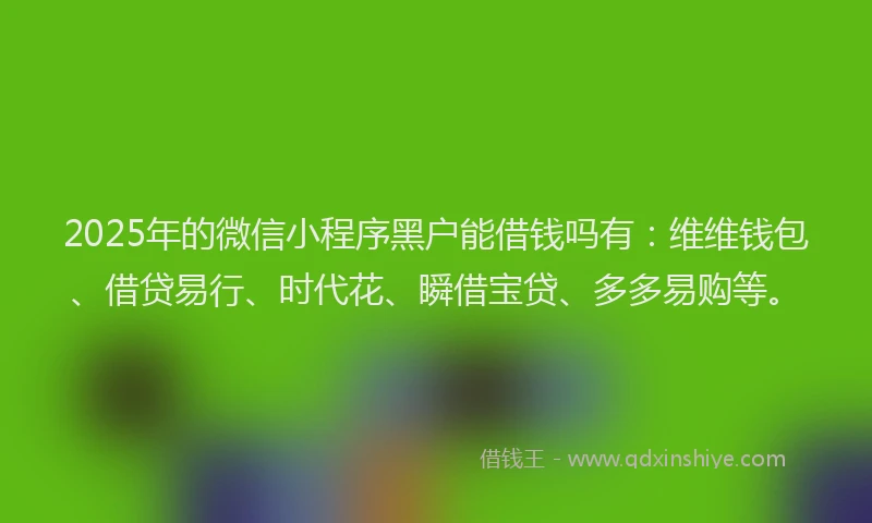 2025年的微信小程序黑户能借钱吗有：维维钱包、借贷易行、时代花、瞬借宝贷、多多易购等。