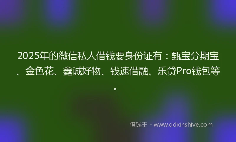 2025年的微信私人借钱要身份证有：甄宝分期宝、金色花、鑫诚好物、钱速借融、乐贷Pro钱包等。