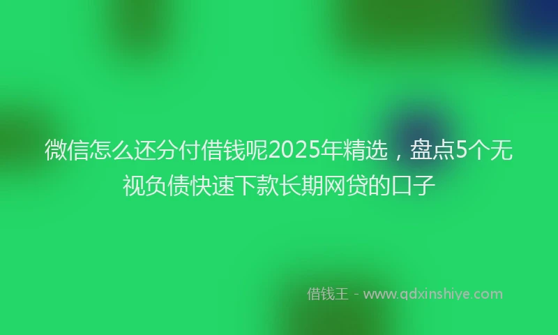 微信怎么还分付借钱呢2025年精选，盘点5个无视负债快速下款长期网贷的口子