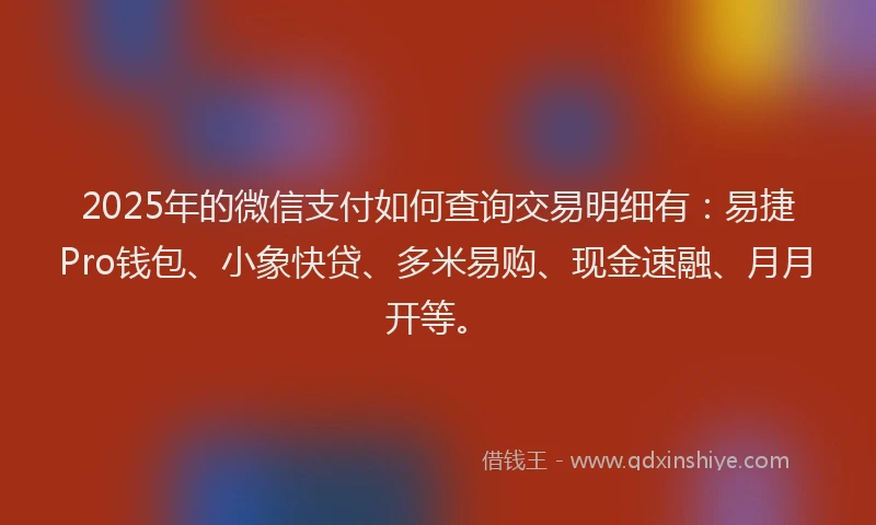 2025年的微信支付如何查询交易明细有：易捷Pro钱包、小象快贷、多米易购、现金速融、月月开等。