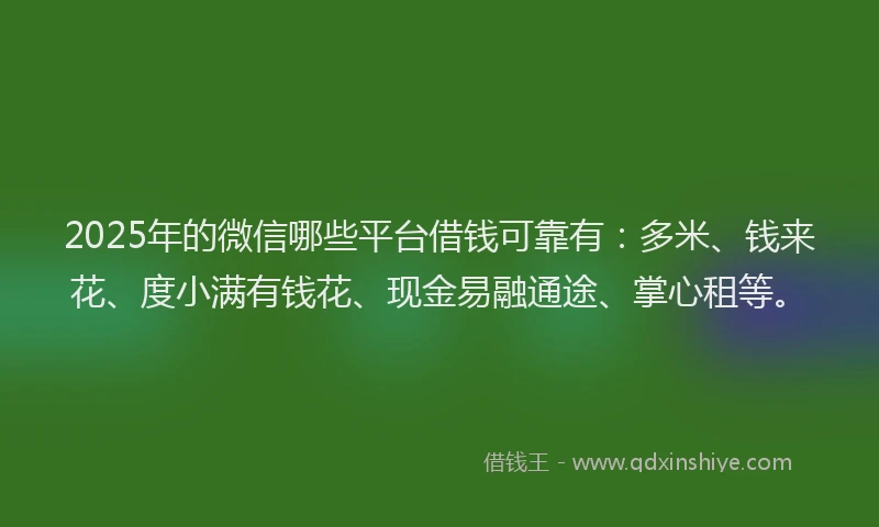 2025年的微信哪些平台借钱可靠有：多米、钱来花、度小满有钱花、现金易融通途、掌心租等。