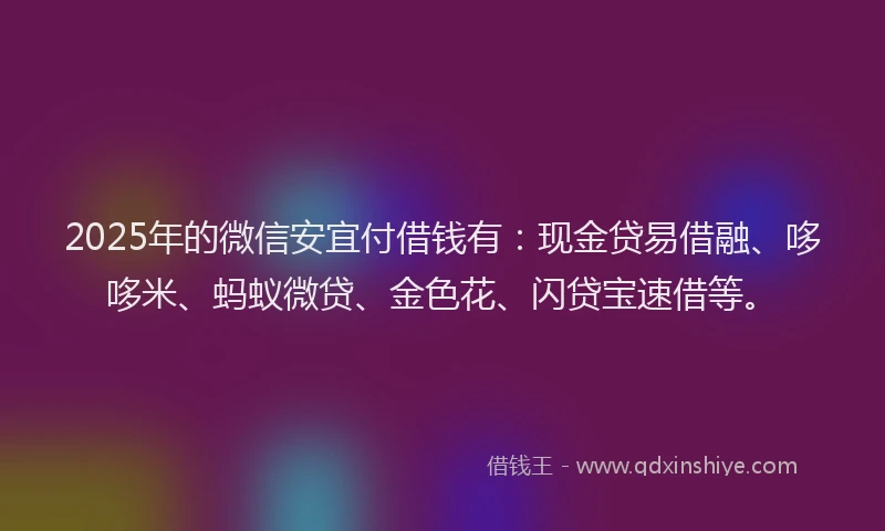 2025年的微信安宜付借钱有：现金贷易借融、哆哆米、蚂蚁微贷、金色花、闪贷宝速借等。